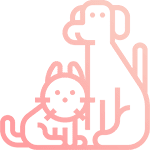 Spays and neuters icon with a cat standing next to a dog